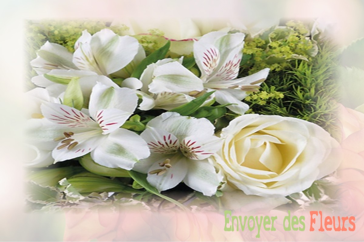 envoyer des fleurs à à DAMPIERRE-EN-MONTAGNE
